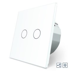 Touch dimmer switch 2 gang 2 way Livolo