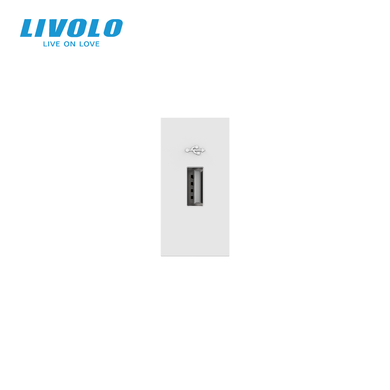 USB-A socket module Livolo