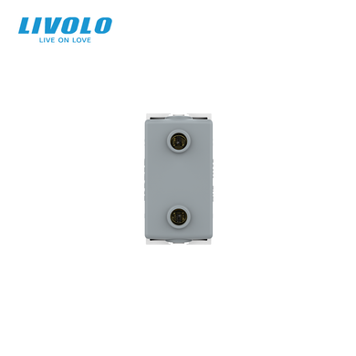 USB-A socket module Livolo