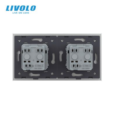 Double wall power socket Livolo