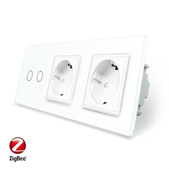 Smart ZigBee touch switch 2 gang 2 socket Livolo