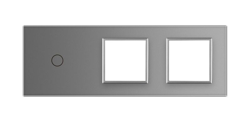 Сенсорная панель комбинированная для выключателя 1 сенсор 2 розетки Livolo