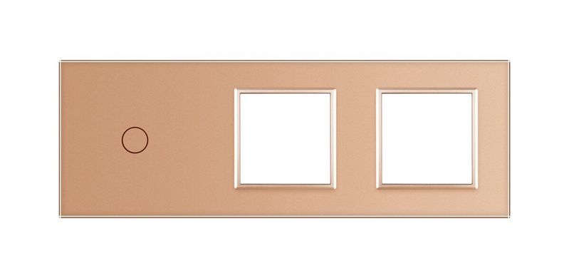 Сенсорная панель комбинированная для выключателя 1 сенсор 2 розетки Livolo