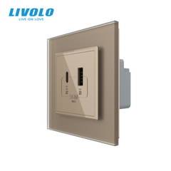 Розетка USB-A и USB-C с Power Delivery 36W Livolo