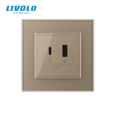 Розетка USB-A та USB-C з Power Delivery 36W Livolo