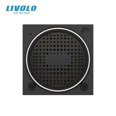 Blue Bluetooth speaker module Livolo