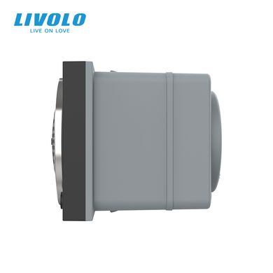 Blue Bluetooth speaker module Livolo