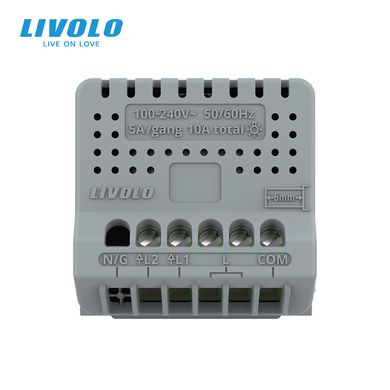 Intermediate touch dimmer switch 2 gang module Livolo