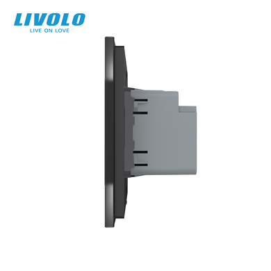 USB-A and USB-C Power Delivery 36W socket Livolo