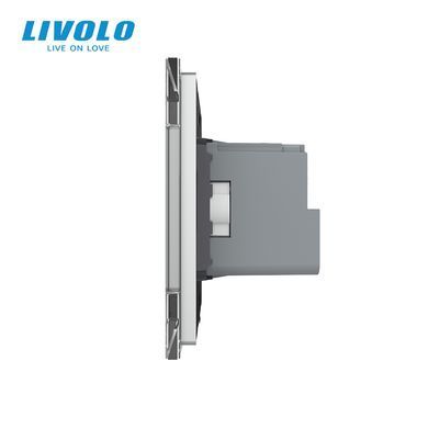 Radio-controlled (remote) socket with remote control LIVOLO with grounding and safety shutters, smartphone control, Alexa, Google Home, 16A 230V grey, matte glass