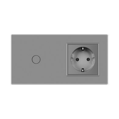 Smart EC touch switch 1 gang 1 socket Livolo
