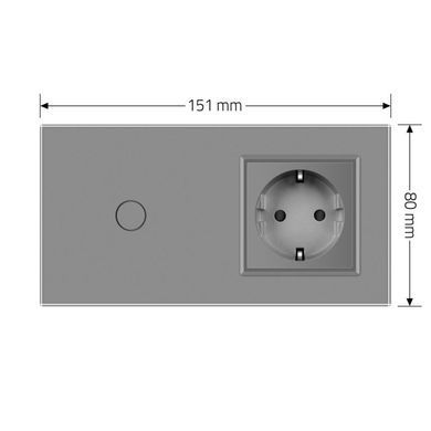 Smart EC touch switch 1 gang 1 socket Livolo