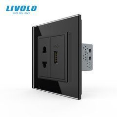 Розетка універсальна з USB розеткою Livolo