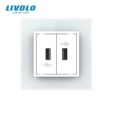 Розетка подвійна USB з блоком живлення Livolo