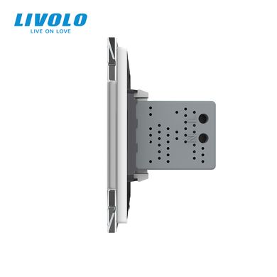 Розетка двойная USB с блоком питания Livolo