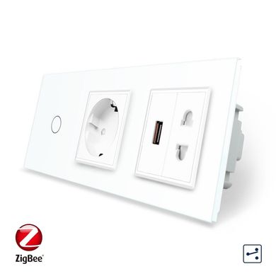 Smart ZigBee touch switch 1 gang 2 way 1 socket 1 universal socket 1 USB Livolo