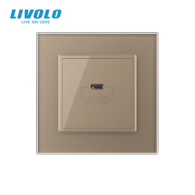 Розетка USB Type-C з Power Delivery 45W Livolo