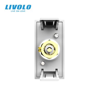 Video RCA socket module Livolo
