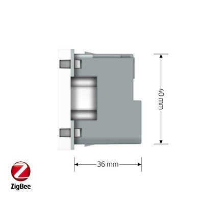 Умный механизм розетка ZigBee с заземлением Livolo белый (VL-FCTC16AZ-2WP)