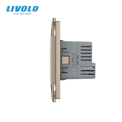 Сенсорный выключатель LIVOLO с розеткой