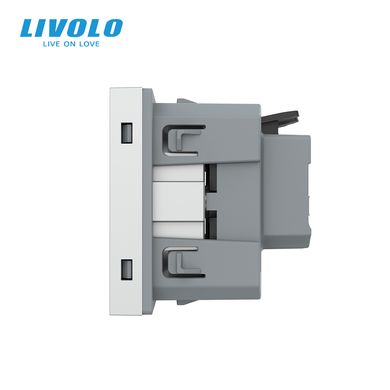 Screw-free wall power socket module Livolo