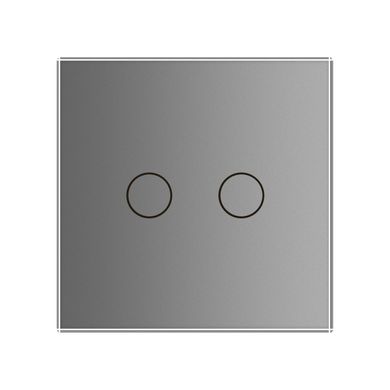 Touch dimmer switch 2 gang Livolo