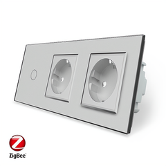 Smart ZigBee touch switch 1 gang 2 socket Livolo