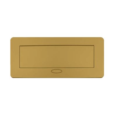 Мебельная розетка двойная с USB и универсальной розеткой 2 в 1 золото Livolo