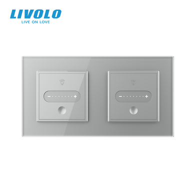 Smart sensor dimmer LIVOLO slider, 2 sensors (1-1), gray, glass
