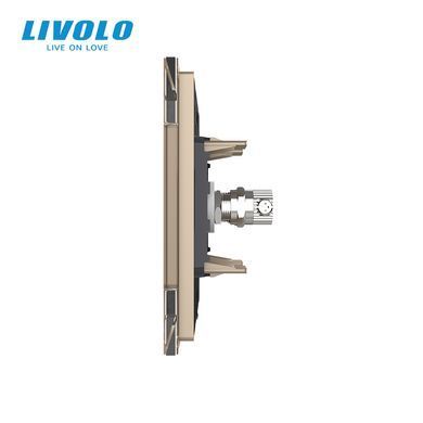 TV socket Livolo