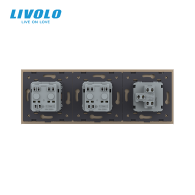 Одноклавішний вимикач з подвійною розеткою Livolo