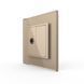 TV socket Livolo