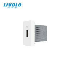 Механізм розетка USB з блоком живлення Livolo