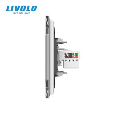 Computer and TV socket Livolo