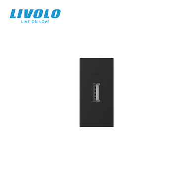 Механізм розетка USB з блоком живлення Livolo