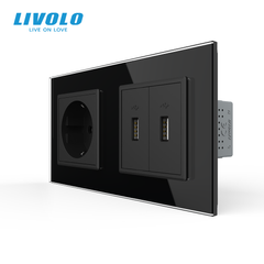 Розетка с заземлением с 2 USB розетками Livolo