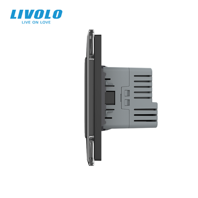 Розумний сенсорний вимикач LIVOLO EC, 1 сенсор + розетка з USB-C 18 Вт, 16 А, із заземленням