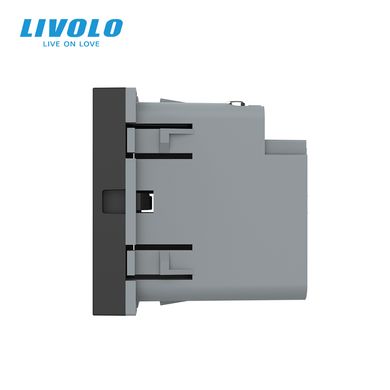 USB-C Power Delivery socket 45W module Livolo