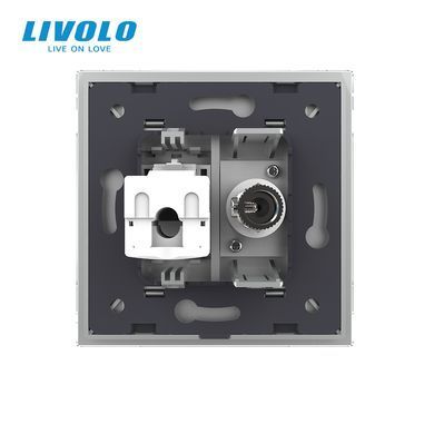 Computer and TV socket Livolo