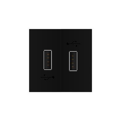 Механізм подвійна розетка USB з блоком живлення Livolo
