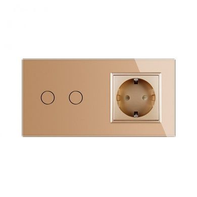 Touch dimmer switch 2 gang 1 socket Livolo