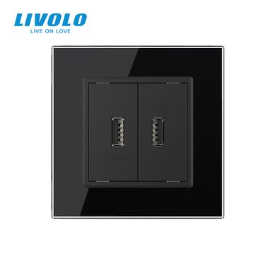 Розетка подвійна USB з блоком живлення Livolo