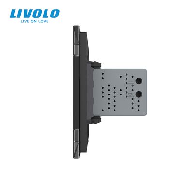 Розетка подвійна USB з блоком живлення Livolo