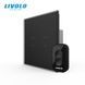 Touch switch for curtains and blinds LIVOLO, 2 gangs, dry contact, 5 A, 230 V, neutral required, with timer, with remote control, black, matte glass