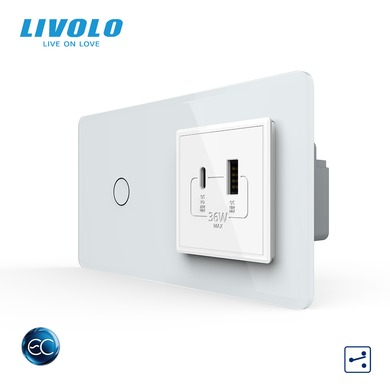 Сенсорный выключатель LIVOLO с розеткой