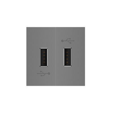 Double USB-A socket module Livolo