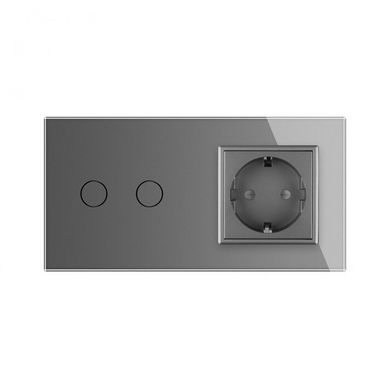 Touch dimmer switch 2 gang 1 socket Livolo