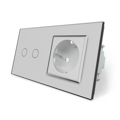 Touch dimmer switch 2 gang 1 socket Livolo