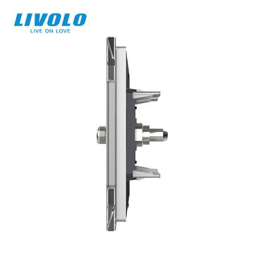 Satellite socket Livolo
