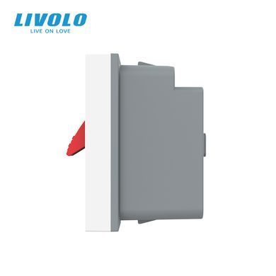 HI-Fi sound socket module Livolo